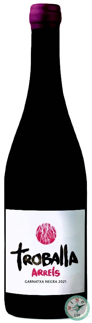 12905